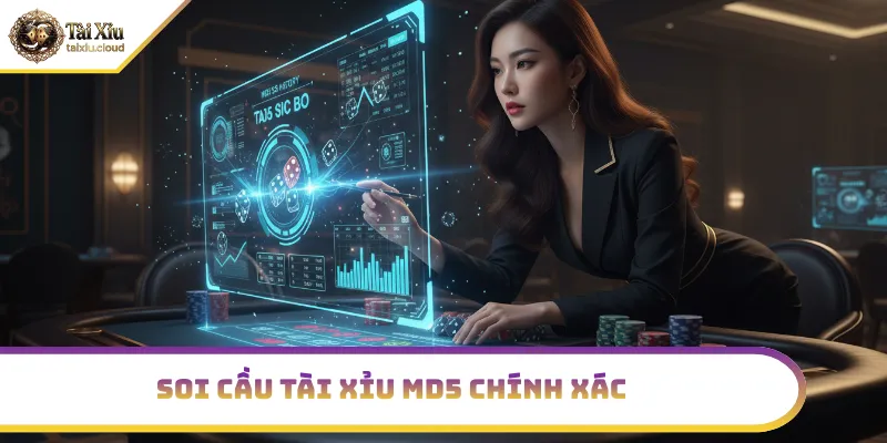 Phân tích cầu tài xỉu MD5 chính xác